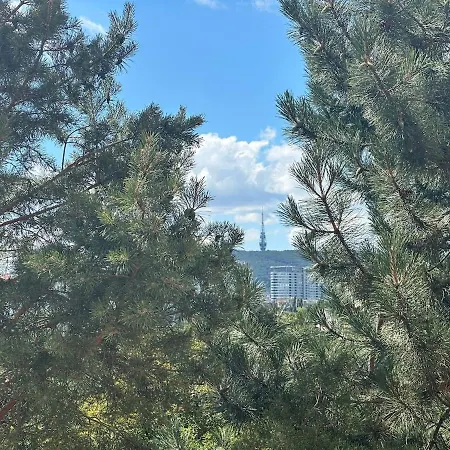 Moderny V Ruzinove Pressburg