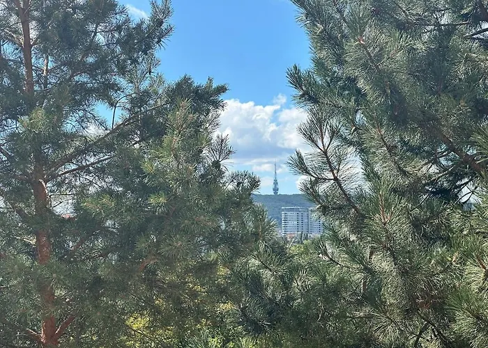 Moderny V Ruzinove Pozsony